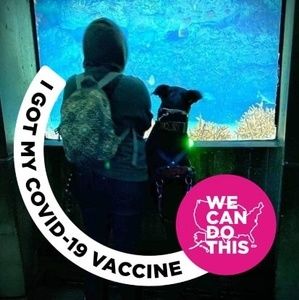 Meet your Posher, Star